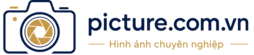Picture.com.vn
